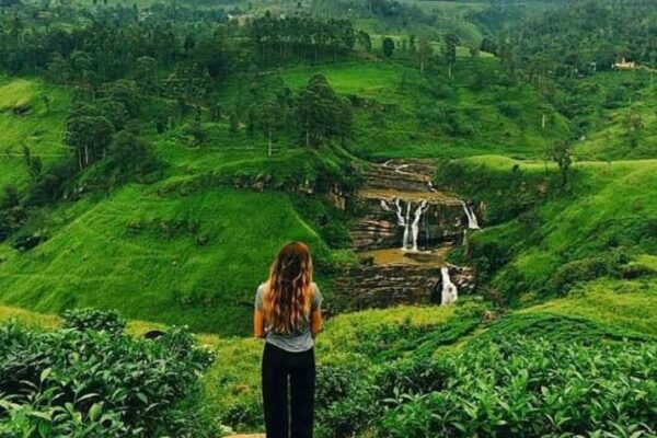 spice food and smile in all faces